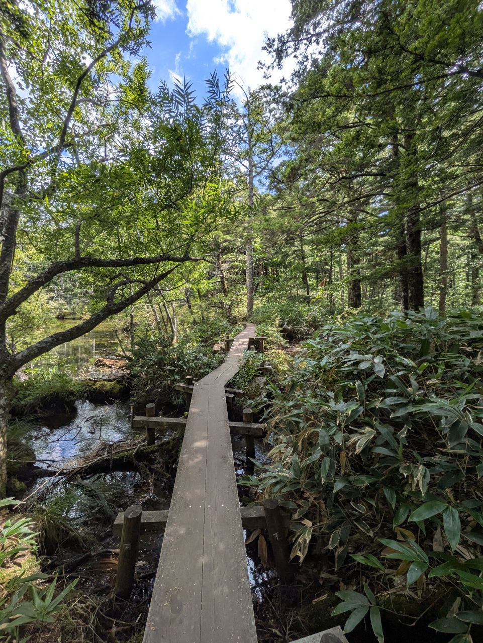 Hikes in aircon weather β photo 1